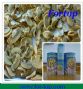 new crop canned mushroom for usa