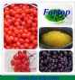 2014 new crop canned black cherries in syrup to russia