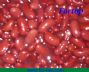 2014 best quality canned red kidney beans for russian